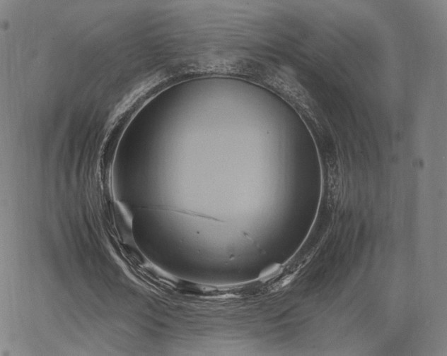 X0000064040674200601301149