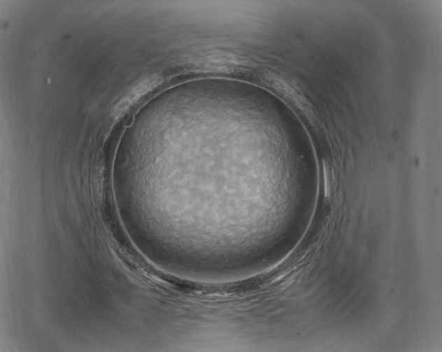 X0000064040675200601301149