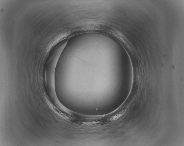 X0000064040677200601301149