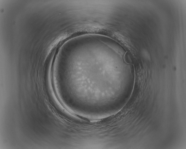 X0000064040679200601301149