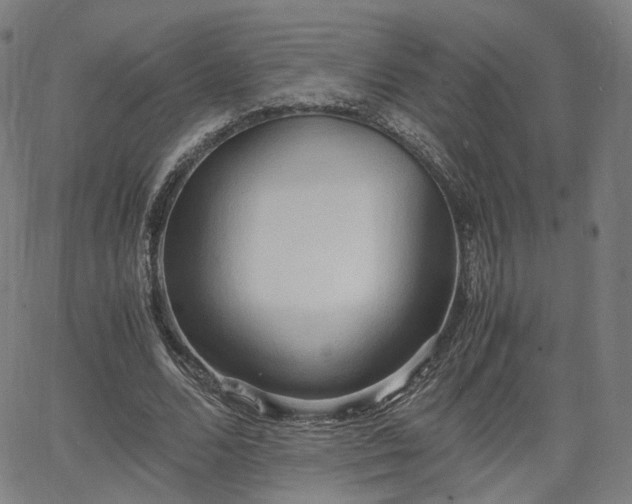 X0000064040680200601301149