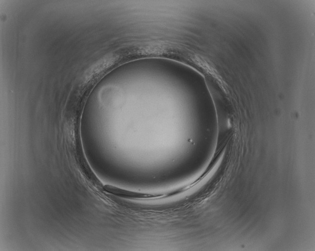 X0000064040681200601301149