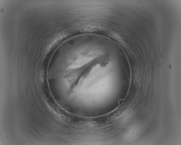 X0000064040683200601301149