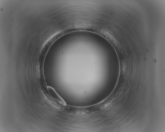 X0000064040684200601301149