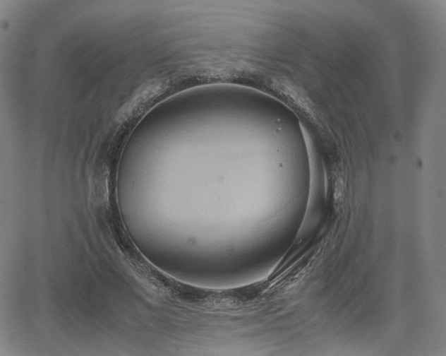 X0000064040685200601301149