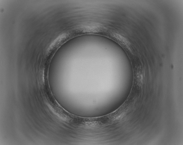 X0000064040686200601301149