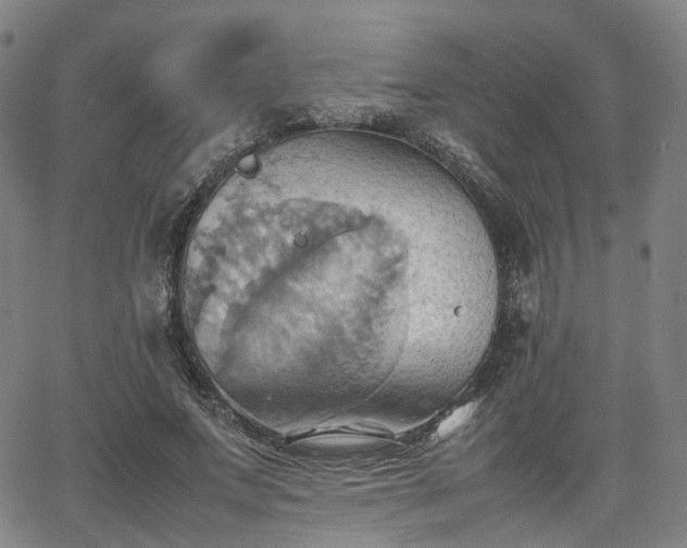 X0000064040687200601301149