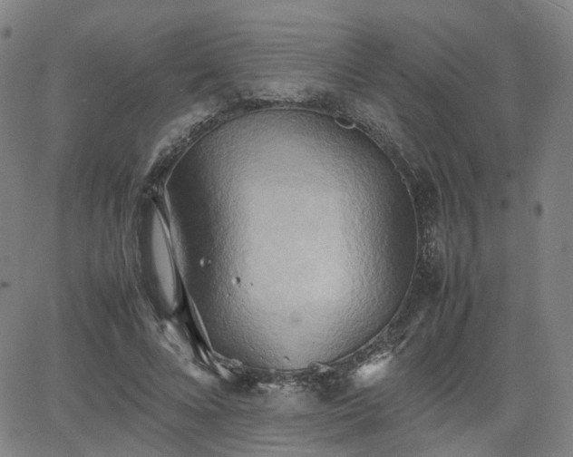 X0000064040688200601301149