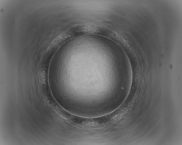 X0000064040689200601301149