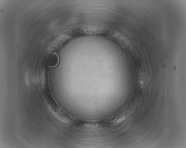 X0000064040690200601301149