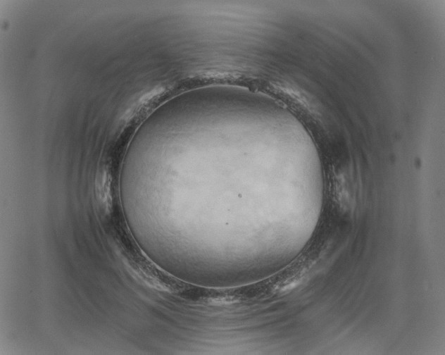 X0000064040692200601301149