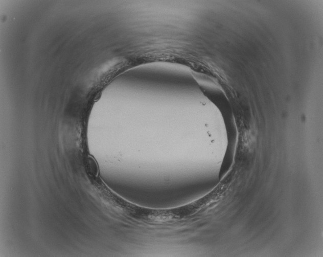 X0000064040693200601301149