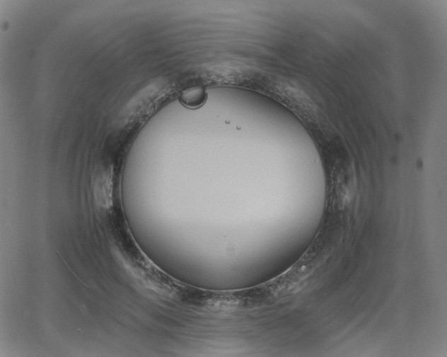 X0000064040694200601301149