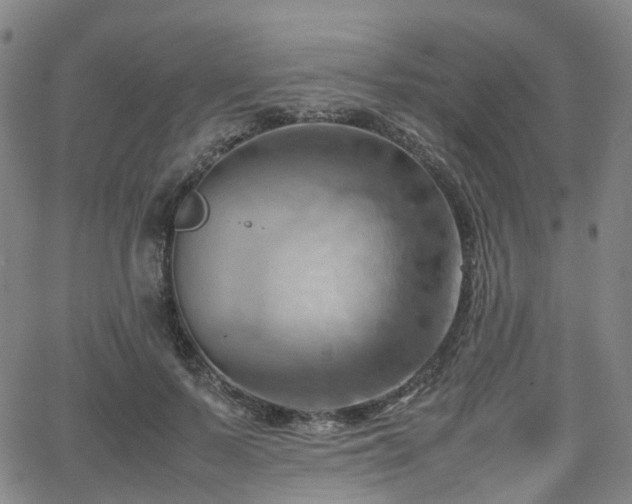 X0000064040695200601301149