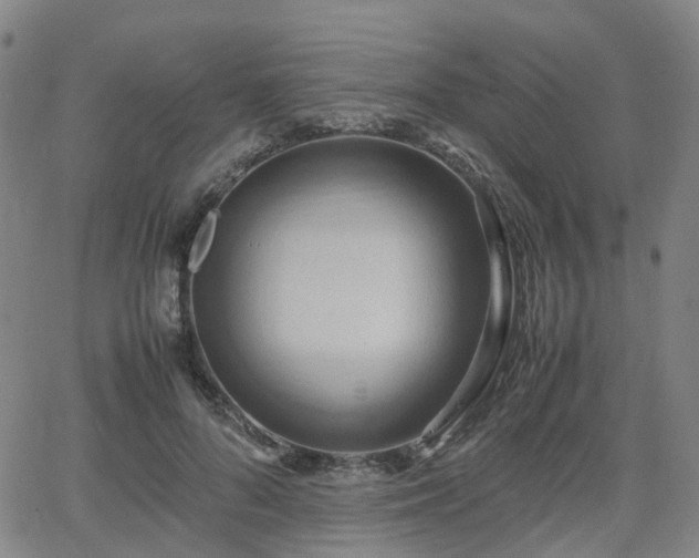 X0000064040696200601301149