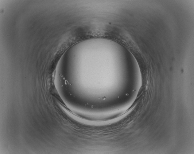 X0000064040697200601301149