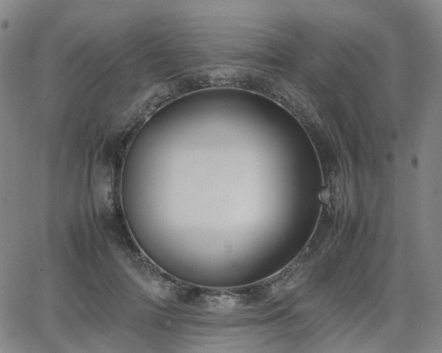 X0000064040698200601301149