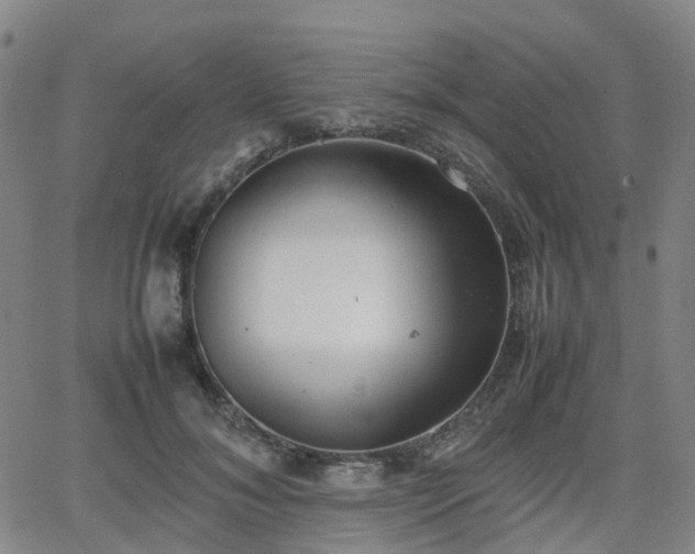 X0000064040700200601301149