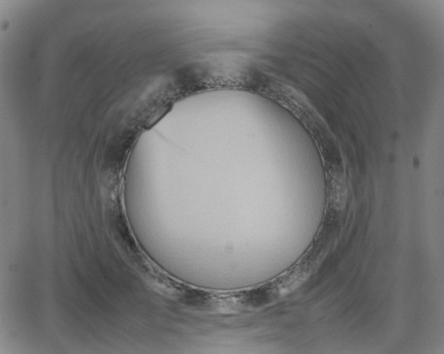 X0000064040701200601301149