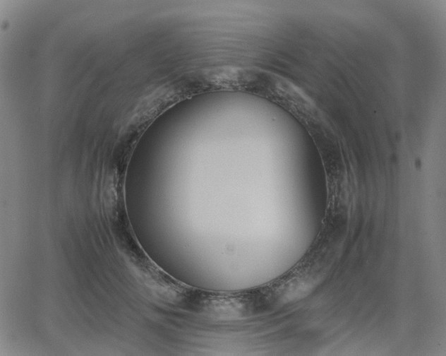 X0000064040702200601301149