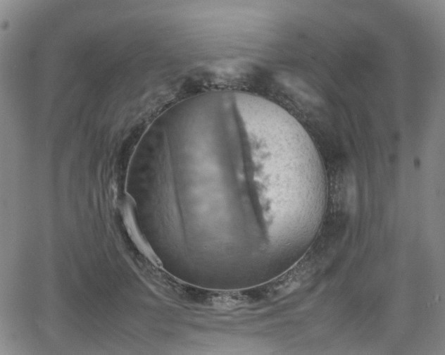 X0000064040703200601301149