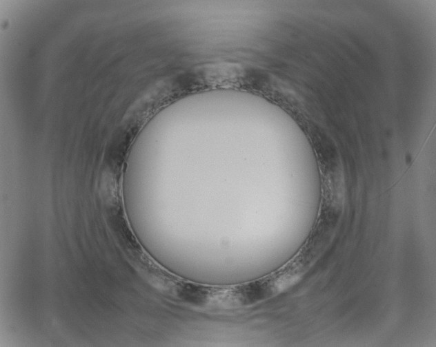 X0000064040705200601301149