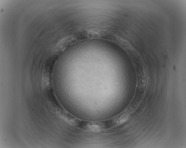 X0000064040706200601301149