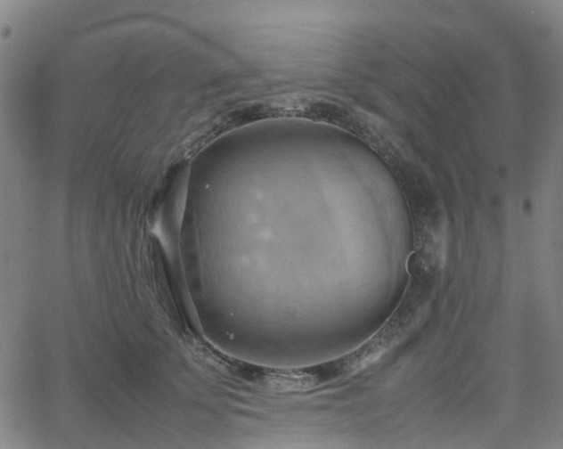 X0000064040707200601301149