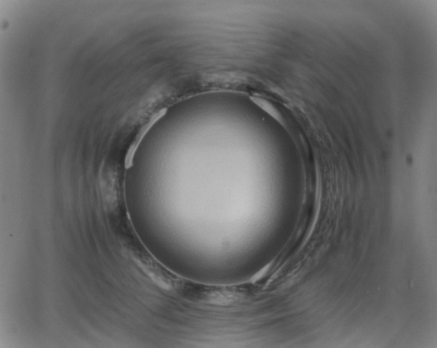 X0000064040708200601301149