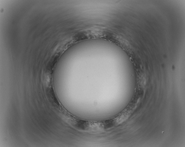 X0000064040709200601301149