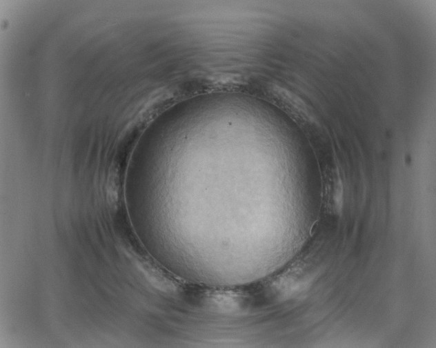 X0000064040710200601301149