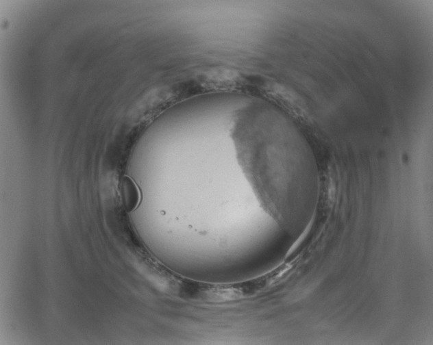 X0000064040711200601301148