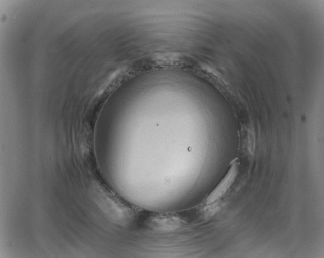 X0000064040712200601301148