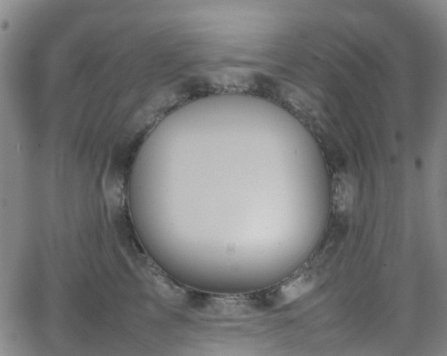 X0000064040713200601301148