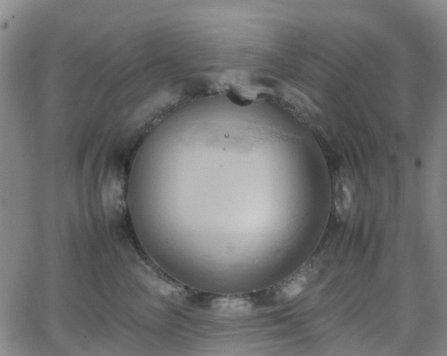 X0000064040714200601301148