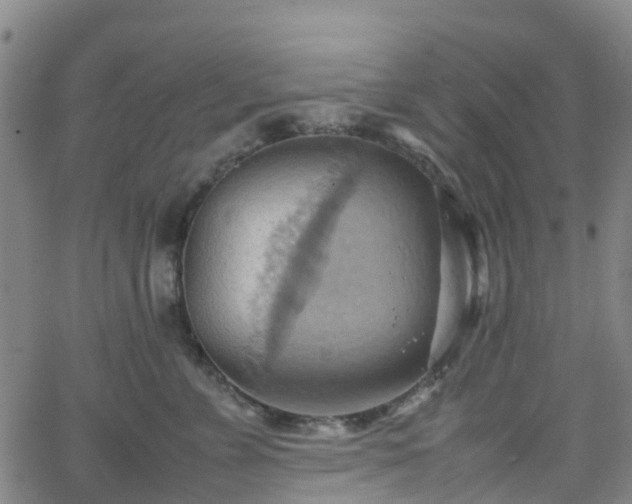 X0000064040715200601301148