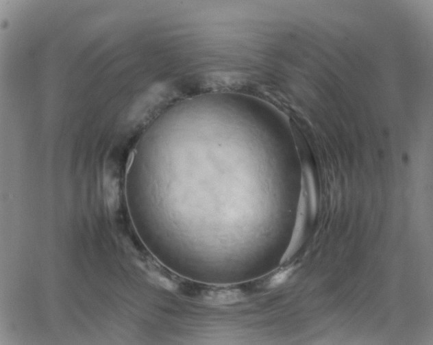 X0000064040716200601301148