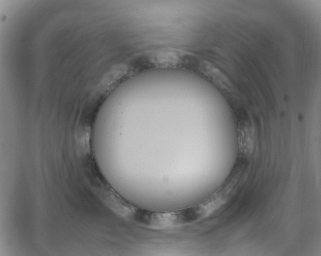 X0000064040717200601301148