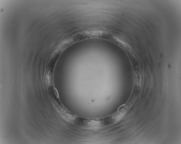 X0000064040718200601301148