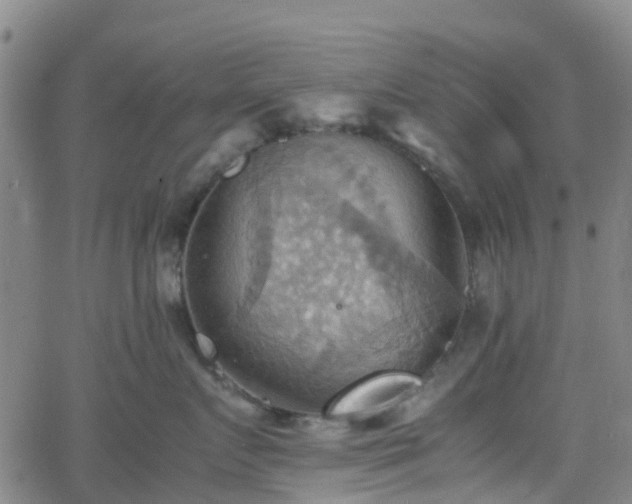 X0000064040719200601301148