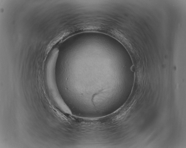 X0000064040721200601301148