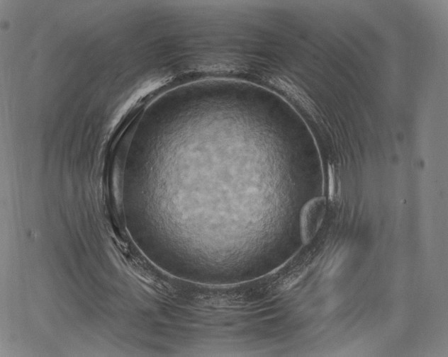 X0000064040723200601301148