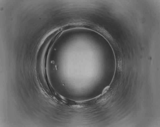 X0000064040724200601301148