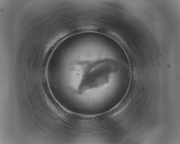 X0000064040725200601301148