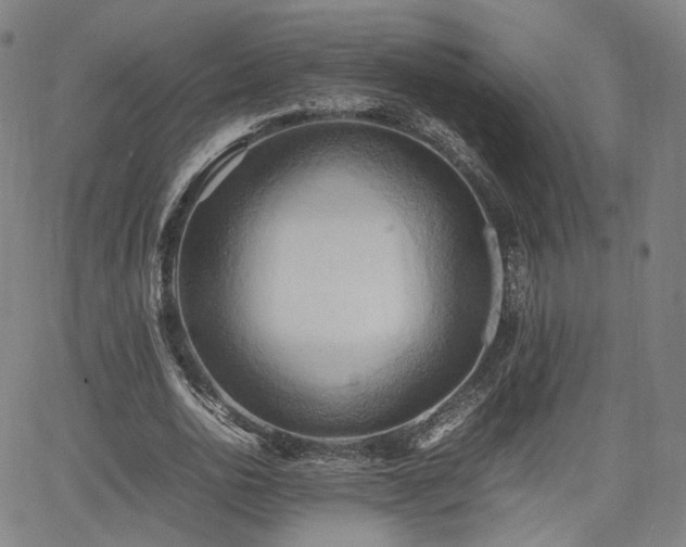 X0000064040726200601301148