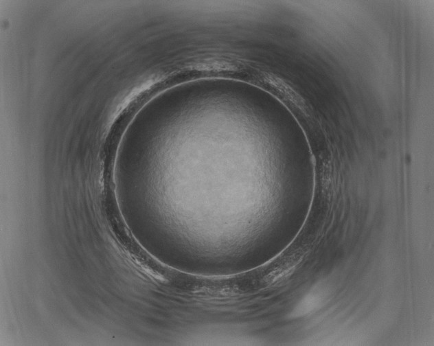 X0000064040727200601301148