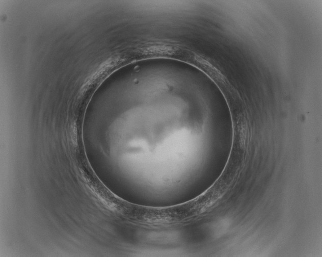 X0000064040729200601301148