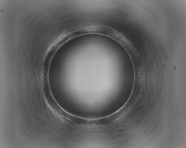 X0000064040730200601301148