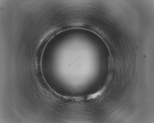 X0000064040731200601301148