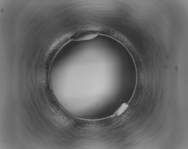 X0000064040732200601301148